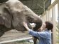 サラヤ『ヤシノミ洗剤』の ルーツを探る旅レポート　旅人：柚木さとみ